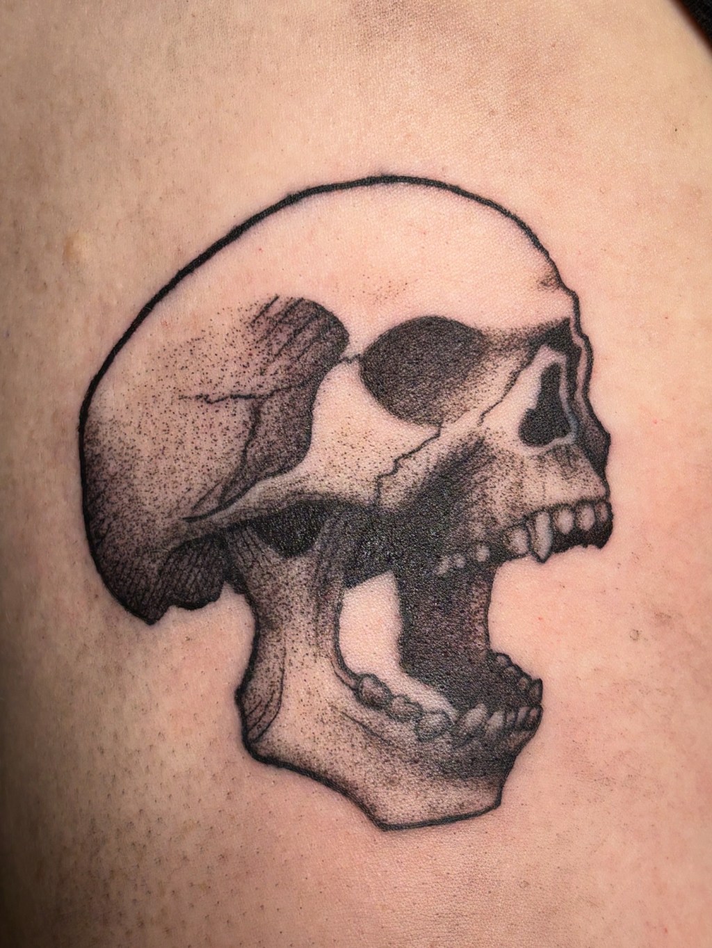 Skull in black and grey
