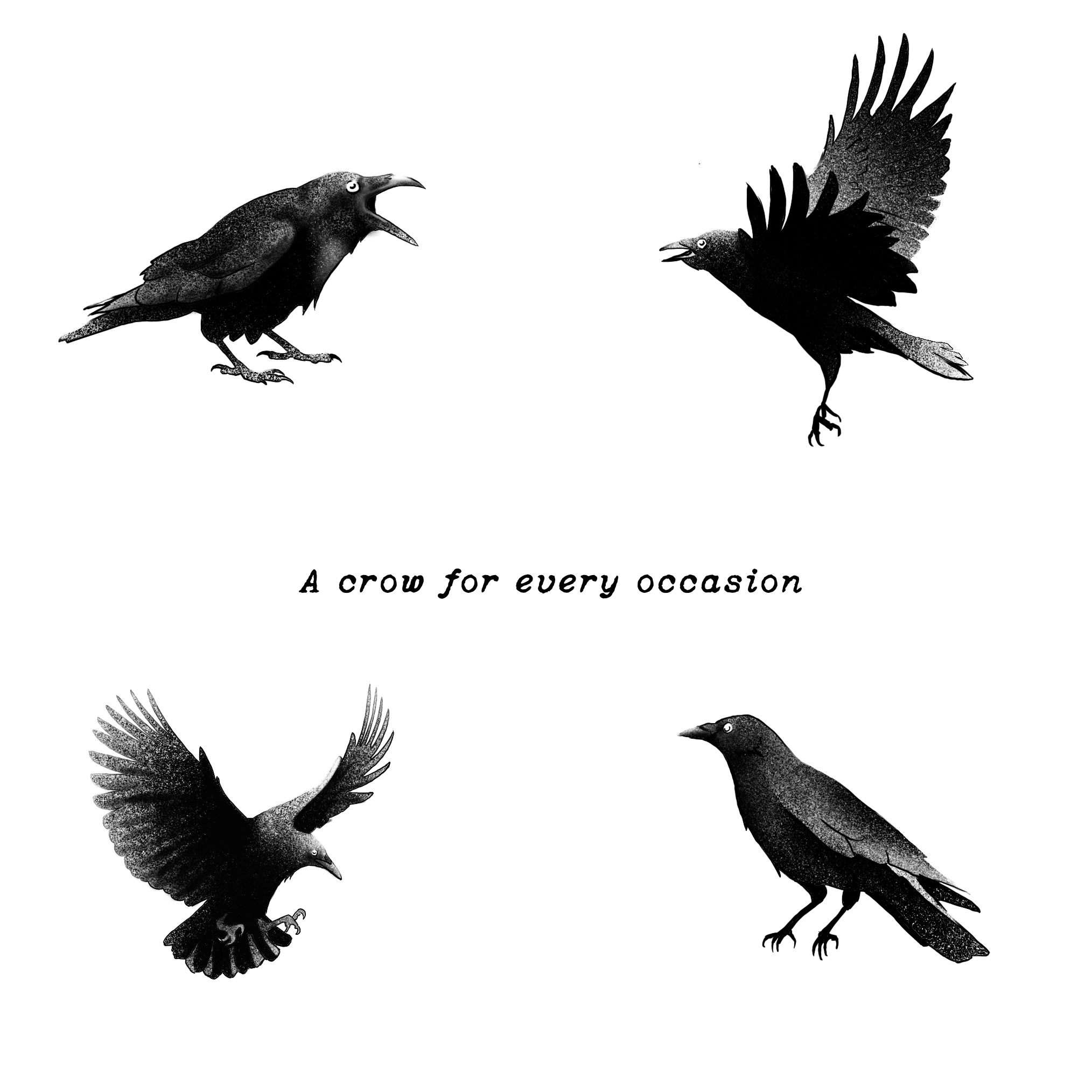 tattoo flash of crows